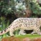 Gemini&Genius Leopard Figurine Toy, Wildlife World Action Figure for Kids