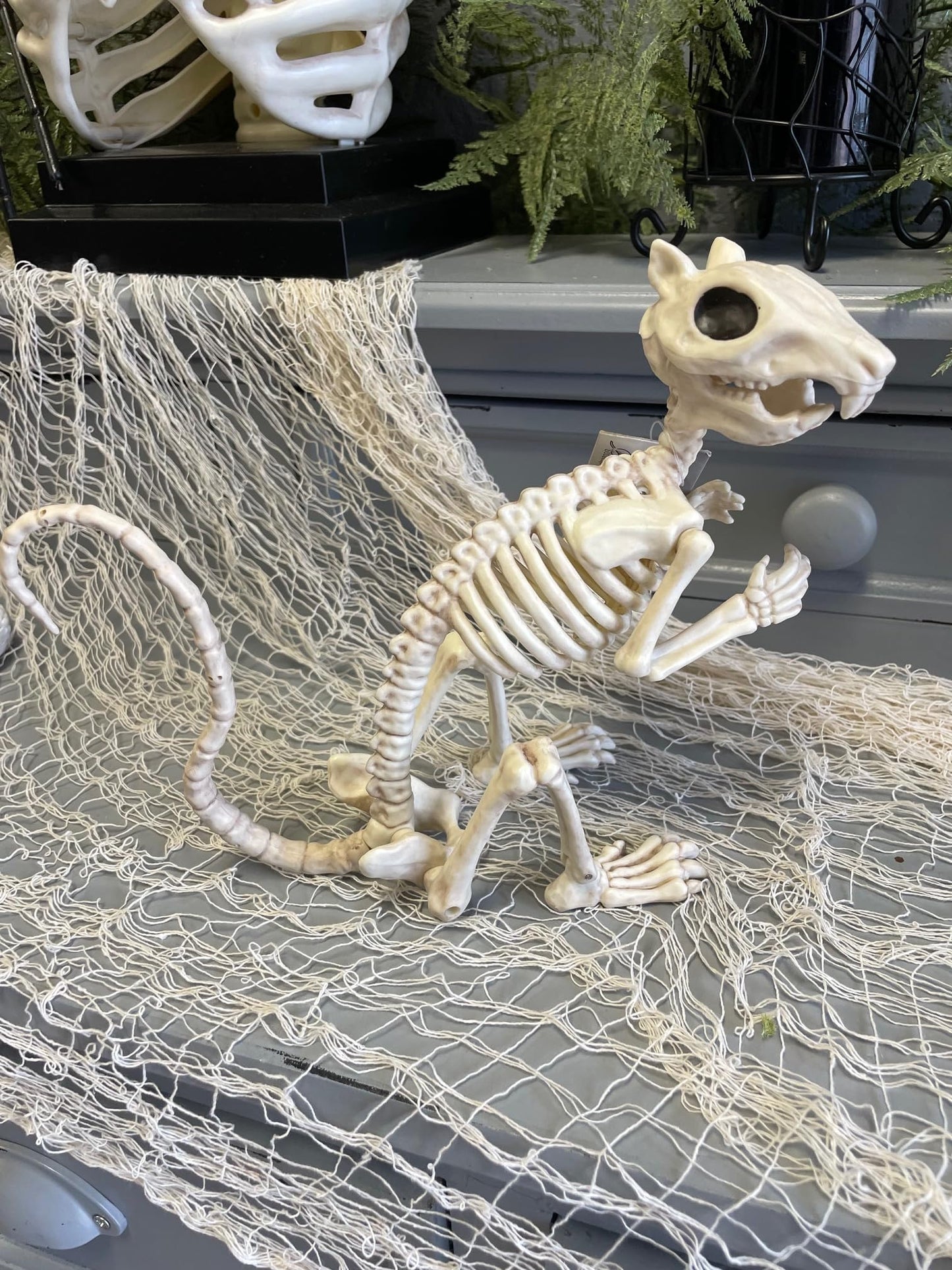 Crazy Bonez Skeleton Squirrel - 7" Halloween Skeleton Animal Decoration with Bendable Tail, Durable All-Weather Plastic, Realistic Bone Detail