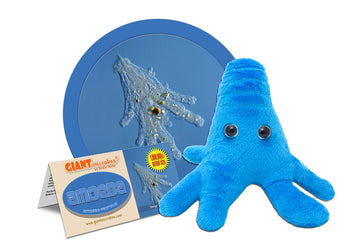 GIANTmicrobes Amoeba Plush - Learn About Nature and Biology with This Cuddly Plush, Unique Gift for Family, Friends, Water Lovers, Scientists