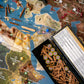 Renegade Game Studios Axis and Allies 1940 Europe WWII Strategy Board Game for 2-5 Players, 6 Hour Gameplay