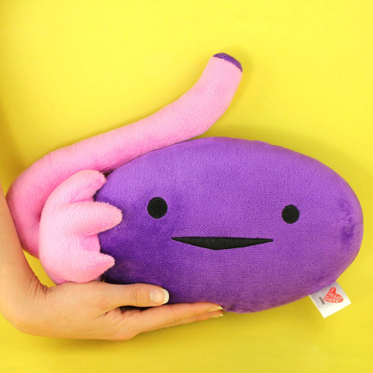 I Heart Guts Ovary Plush - 10" Cute Educational Organ Toy for PCOS, IVF & Oophorectomy - Funny Get Well Recovery Gift for OBGYN Nurse Patients