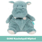 GUND Baby Hippo Hug Soft Cuddle Plush Toy for Babies and Babies, Green, 30 cm, 0+ Years