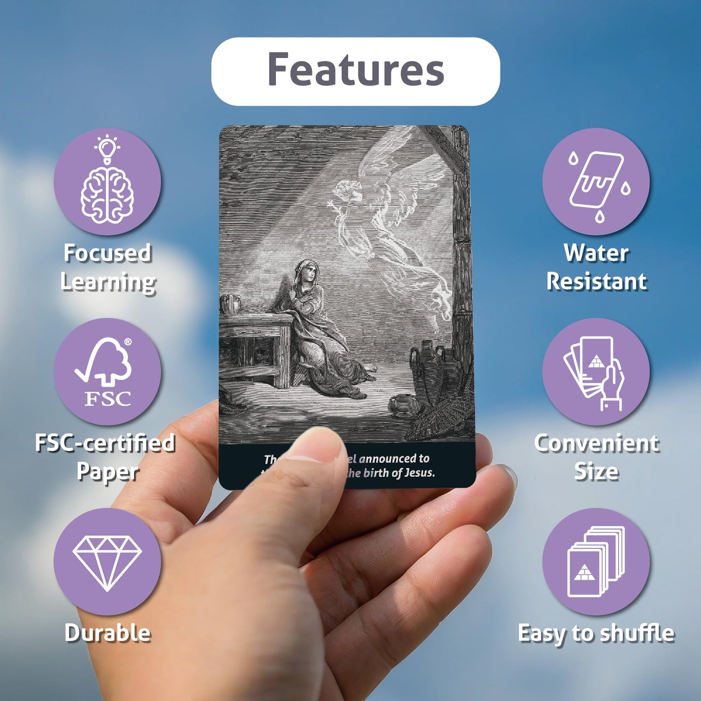 CARDDIA | Books of The Bible Flash Cards | Woodcut Illustrations, Color-Coded Divisions & Key Facts | Perfect for Bible Study, New Christians