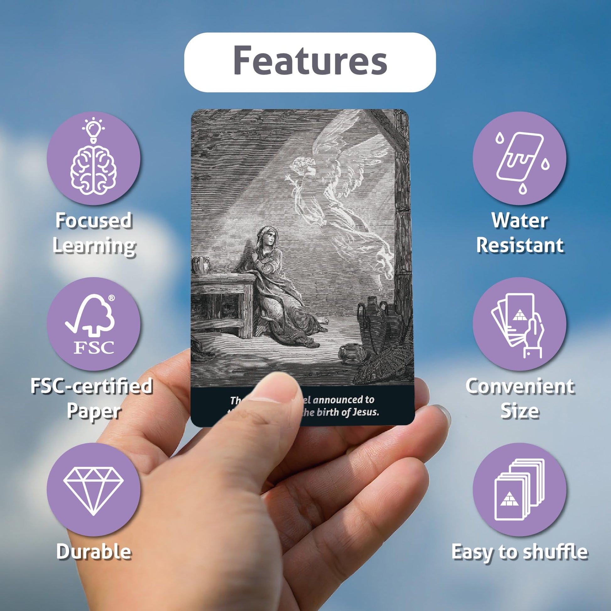 CARDDIA | Books of The Bible Flash Cards | Woodcut Illustrations, Color-Coded Divisions & Key Facts | Perfect for Bible Study, New Christians