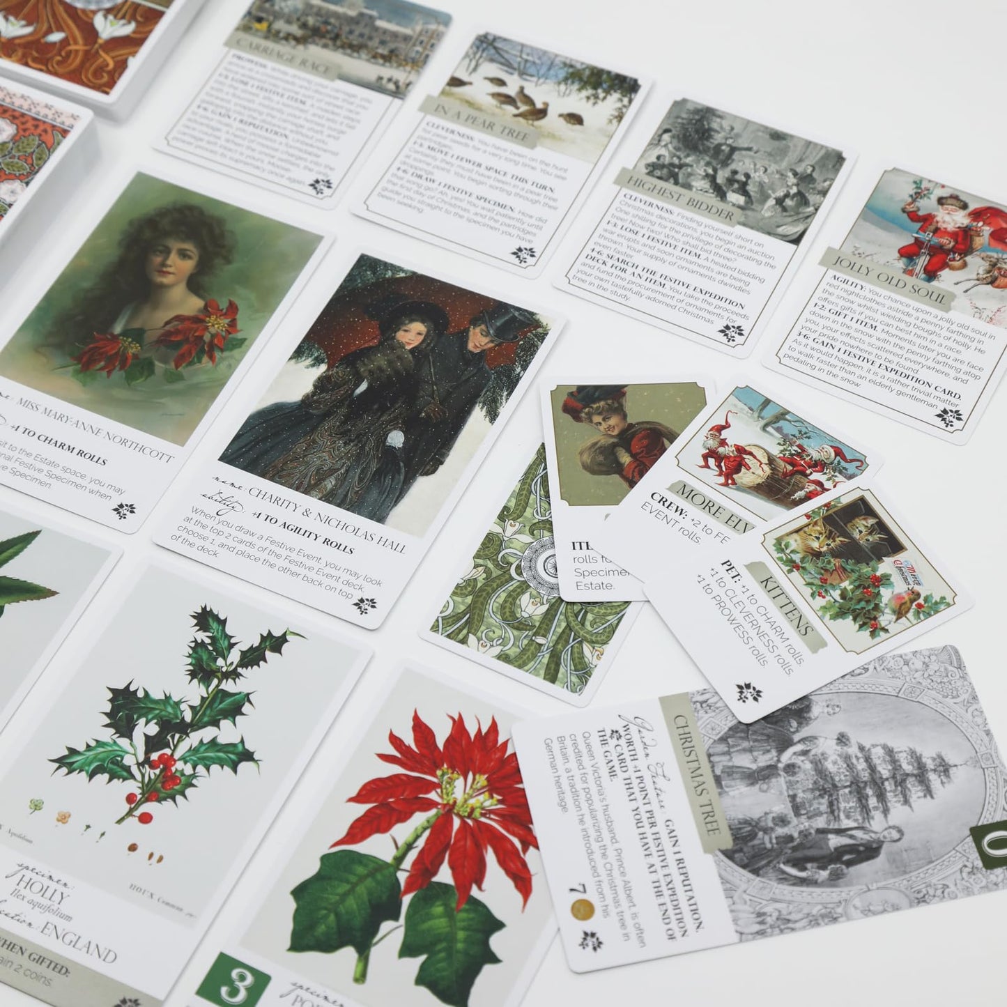 Botany: Festive Foliage Expansion | Family Strategy Game for Young Botanists and Adults | Ages 8+ | for 2-5 Players | Average Playtime 45-90 mins |
