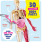 Dan&Darci Human Anatomy Squishy Body Model - Science Kits for Kids Ages 4-8 - STEM Toys for 4 5 6 7 8 Year Old Boy Birthday Gift - Learning