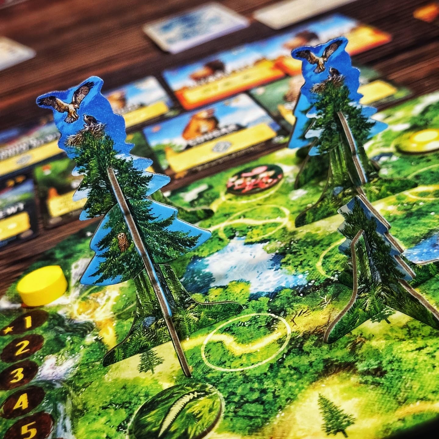 Weird City Games Canopy Evergreen - Strategy Board Game - for 1 to 4 Players and Ages 10+