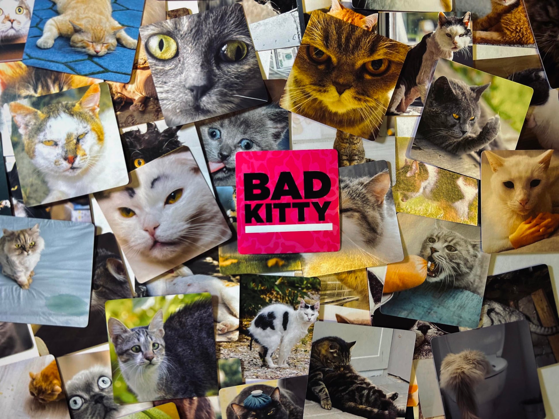 Bad Kitty Adult Party Game + After Dark Expansion Set - Ultimate Meme Game with Cats - Exploding for White Elephant Parties, Stocking Stuffers + Board