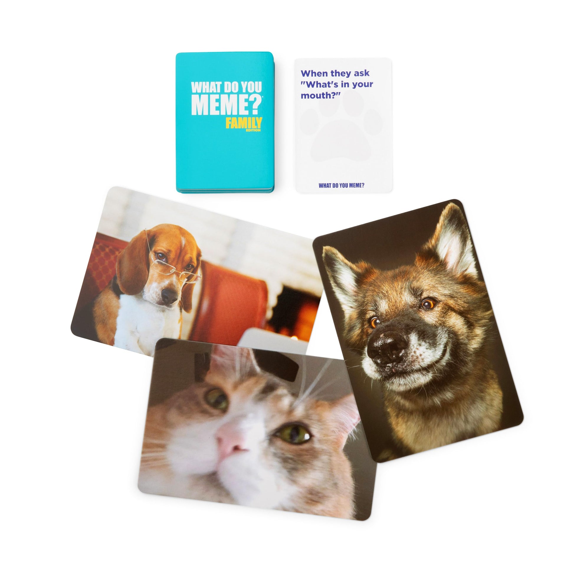 What Do You Meme? Family Pets Only Edition, Amazing Kids Games and Funny Games for The Whole Family, Includes 300 Caption Cards, 65 Image Cards, 1