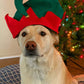 Funiverse Bulk 12 Pack Christmas Elf Hat with Jingle Bell - Adult Sized and Perfect for Any Christmas Holiday Event