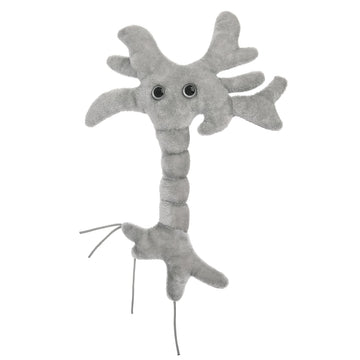 GIANT MICROBES Brain Cell Plush, Neuron Model Anatomy, Psychology Gifts