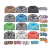 Fun Express Daniel & The Lions Color & Number Match Cards - Educational Learning Toy for Kids Preschool & Early Education - Perfect for Classroom