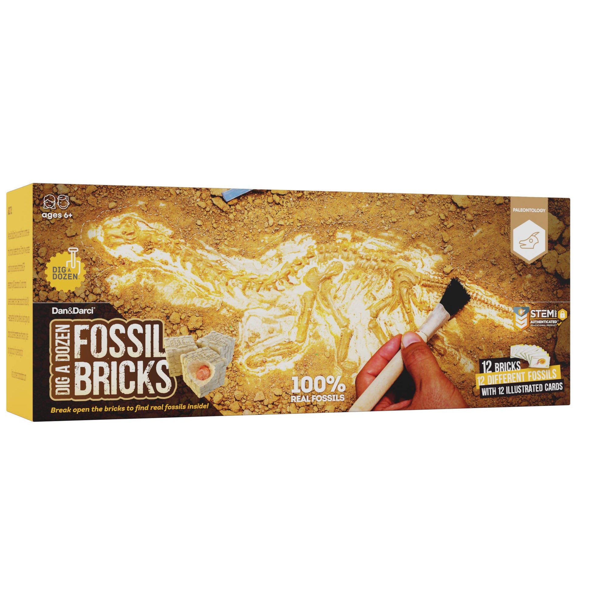 Dan&Darci Dig a Dozen Fossil Bricks - Break Open 12 Blocks and Discover 12 Unique Real Fossils - Basket Stuffers Archaeology Science STEM - Birthday