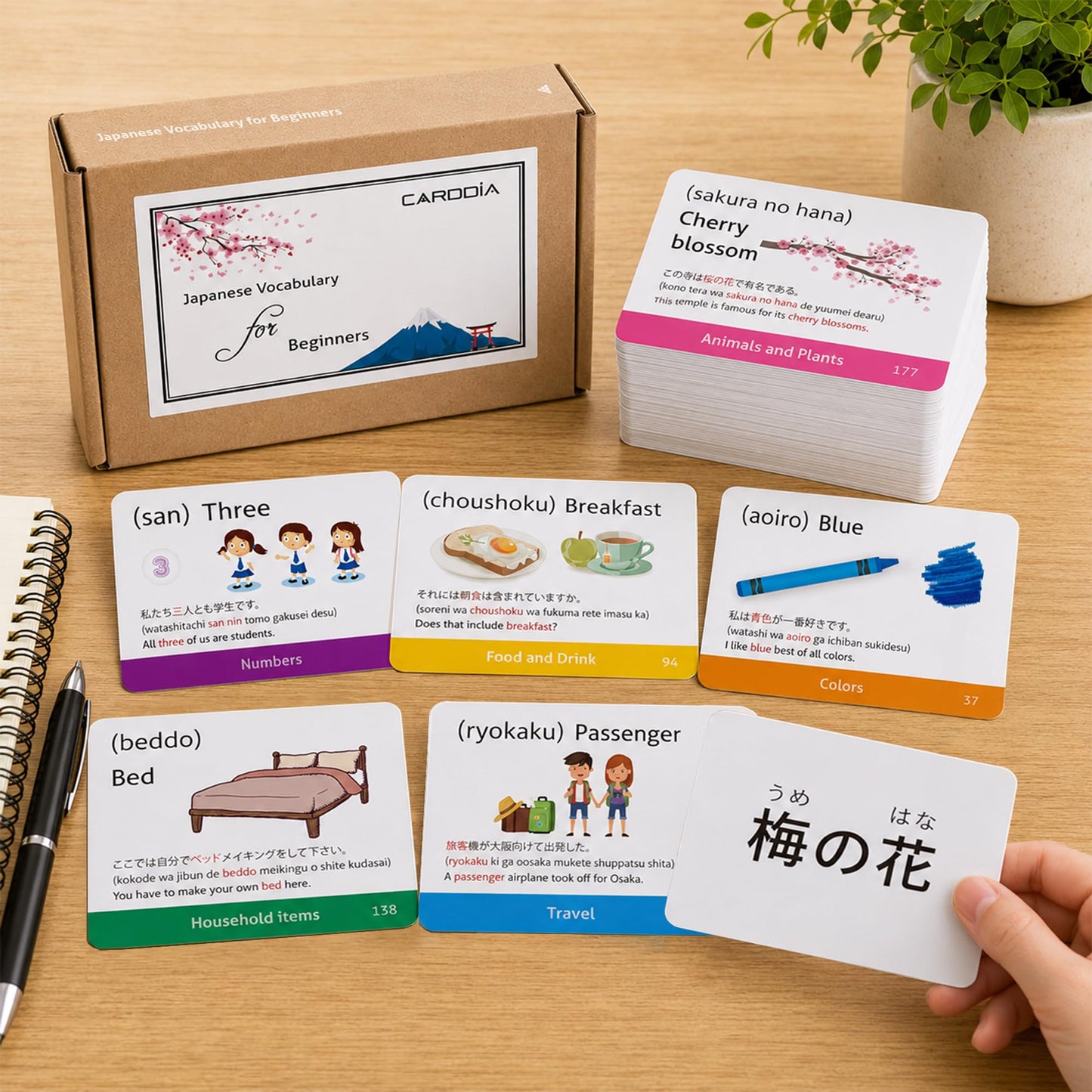Japanese Vocabulary Flash Cards for Beginners (with Illustrations and Example Sentences), Standard Playing Card Size, Sturdy, Water Resistant