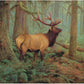 Buffalo Games - Forest King - 500 Piece Jigsaw Puzzle for Adults