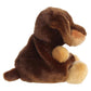 Aurora Adorable Palm Pals Houdini Dachshund Stuffed Animal - Fun Collectible Plush for Kids and Adult Collectors - Perfect for Decorating Rooms