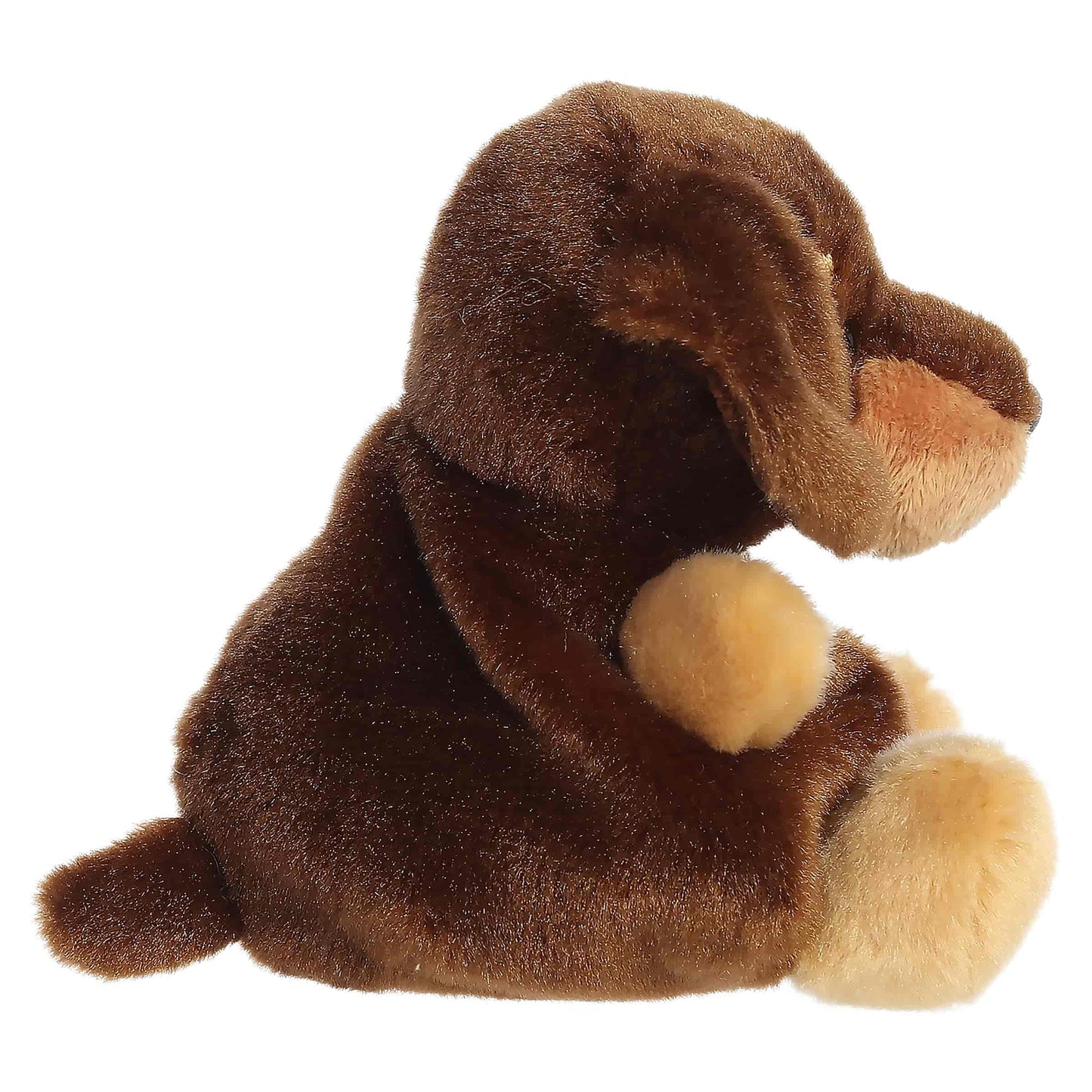 Aurora Adorable Palm Pals Houdini Dachshund Stuffed Animal - Fun Collectible Plush for Kids and Adult Collectors - Perfect for Decorating Rooms