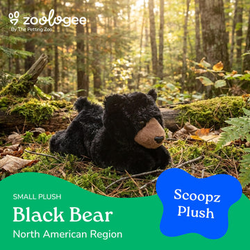The Petting Zoo Black Bear Stuffed Animal Plushie, Gifts for Kids, Scoopz Wildlife Animals, Bear Plush Toy, 8 inches
