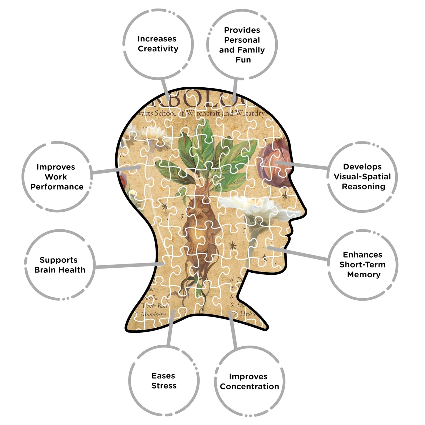 AQUARIUS Harry Potter Herbology Poster 1000 Piece Jigsaw Puzzle