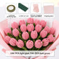 iCraftine Pipe Cleaner Flower Kit, Including Pink and Green Chenille Stems, Floral Stem, Gardening Tape, Ribbon for Making Flower Bouquet