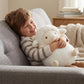 WEIGEDU Cute Sheep Plush Toy - 14” Soft Round Stuffed Animal Pillow Kawaii Lamb Plushie for Kids & Adults - Huggable Plush Cushion for Bed, Sofa