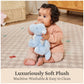 GUND Baby Zephie Dragon 10-Inch Sensory Stuffed Animal for Ages 0+