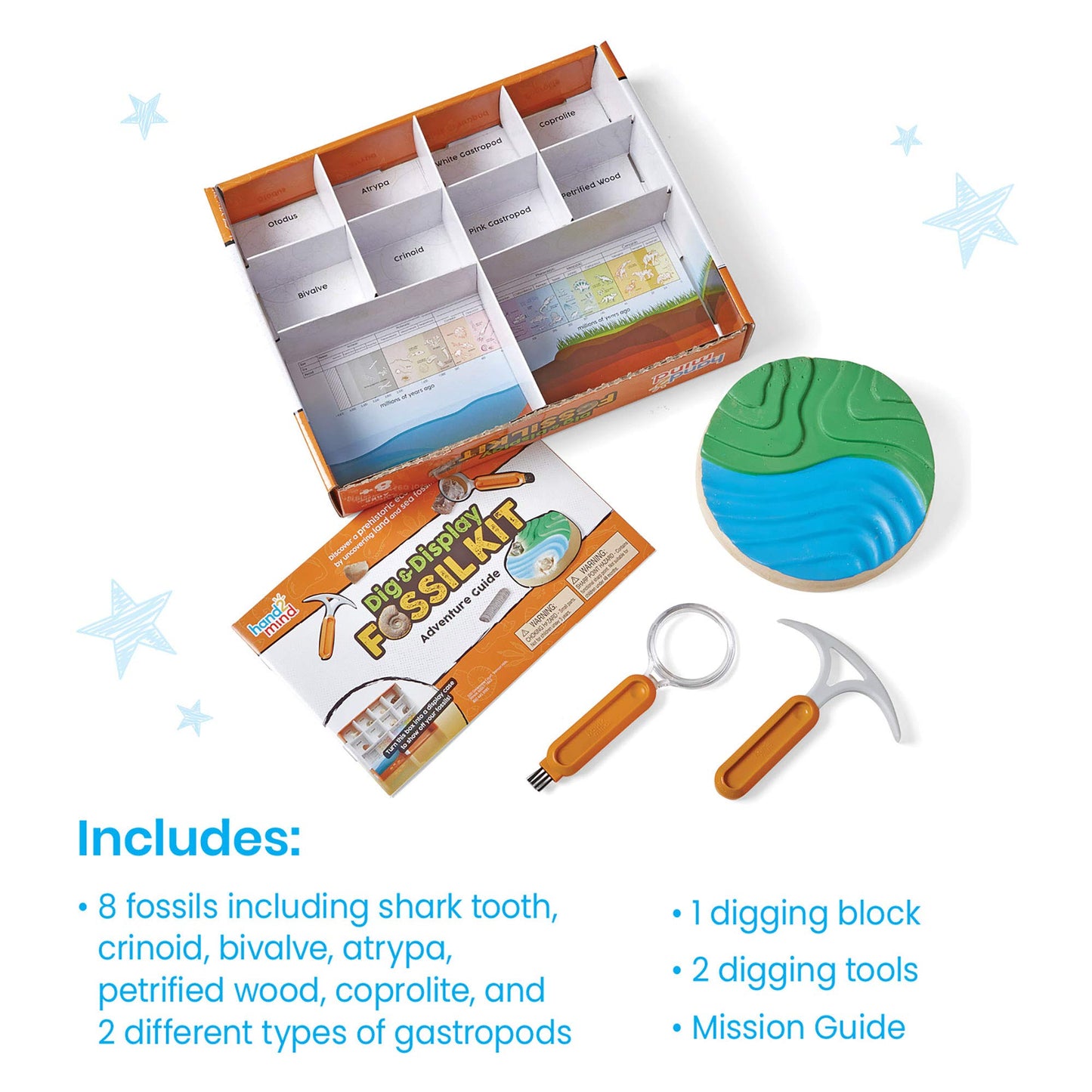 hand2mind Dig & Display Fossil Dig Kit, Fossil Display Case, 8 Real Fossils to Uncover, Dig Kits for Kids, Fossil Digging Kit for Kids, Excavation Kit