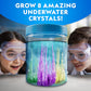 National Geographic Underwater Crystal Growing Aquarium Science Kit