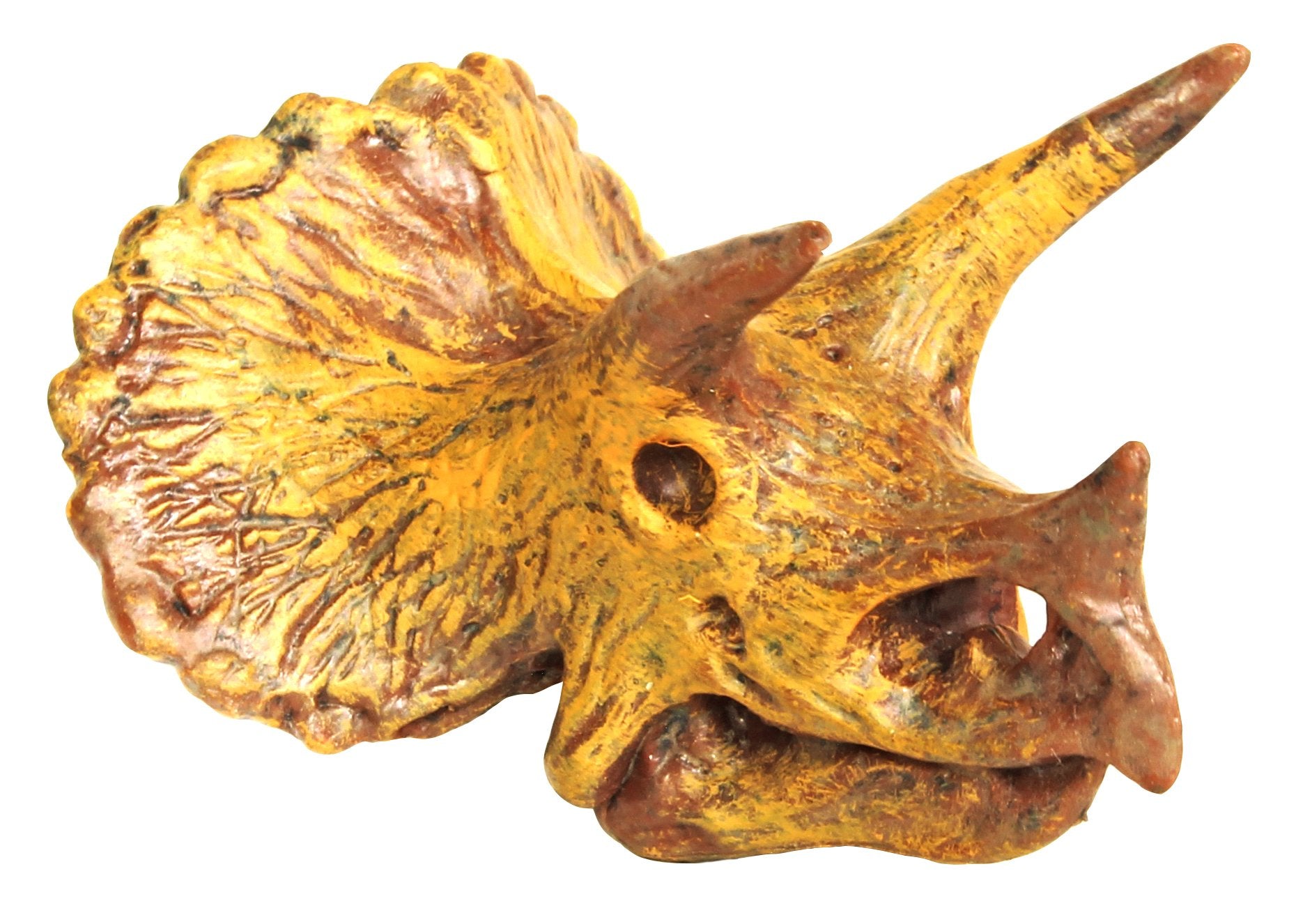 Safari Ltd Dinosaur Skulls TOOB - 11 Mini Figurines Including Velociraptor, Brachiosaurus, Oviraptor, Triceratops, Tyrannosaurus Rex and More