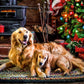 Buffalo Games - Dogs Under the Tree - 300 Large Piece Puzzle for Adults