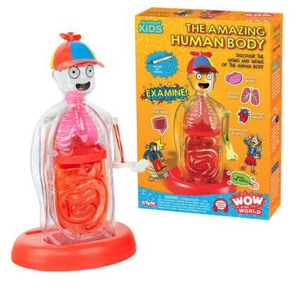Wow in The World The Amazing Human Body Kit by Thames & Kosmos, Interactive Mechanical Anatomy Model w/Pumping Heart, Lungs, Digestive Tract