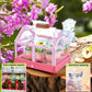 EXBEPE Kids Plant Growing Kit Greenhouse Growing Set Terrarium Kit Kids Science Educational DIY Plant Gardening Toy, Living Greenhouse with Solar