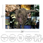 Aquarius Jurassic Park 1000 Piece Jigsaw Puzzle, Dinosaur Movie Collage Puzzle 20x28 Inch, Collectible Merchandise Gift for Teens Adults