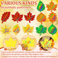 Sealmic 60 Packs Fall Scratch Art Harvest Rainbow Scratch Paper Art Set Thanksgiving Arts and Crafts Colorful Fall Leaves with Colored Ribbons Wooden
