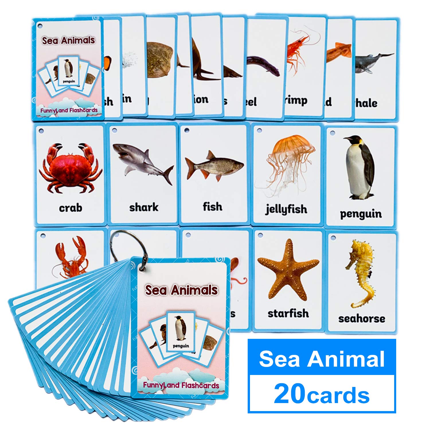 20PCS/Set Sea Animals Kids Gifts English Flash Cards Pocket Card Educational Learning Baby Toys for Children Pre-Kindergarten