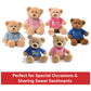 GUND Get Well T-Shirt Message Teddy Bear Stuffed Animal Plush, Pink, 12.5"