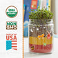 Back to the Roots Terrarium Grow Kit - Easy-to-Use DIY Set for All Ages Small