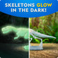 National Geographic Glow-in-the-Dark Dinosaur Skeleton Model Building Kit