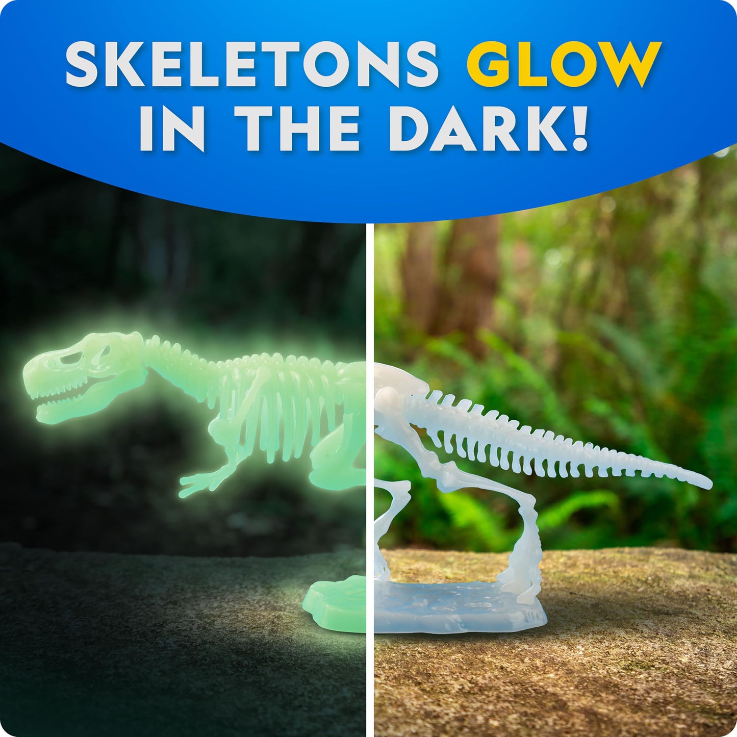 National Geographic Glow-in-the-Dark Dinosaur Skeleton Model Building Kit