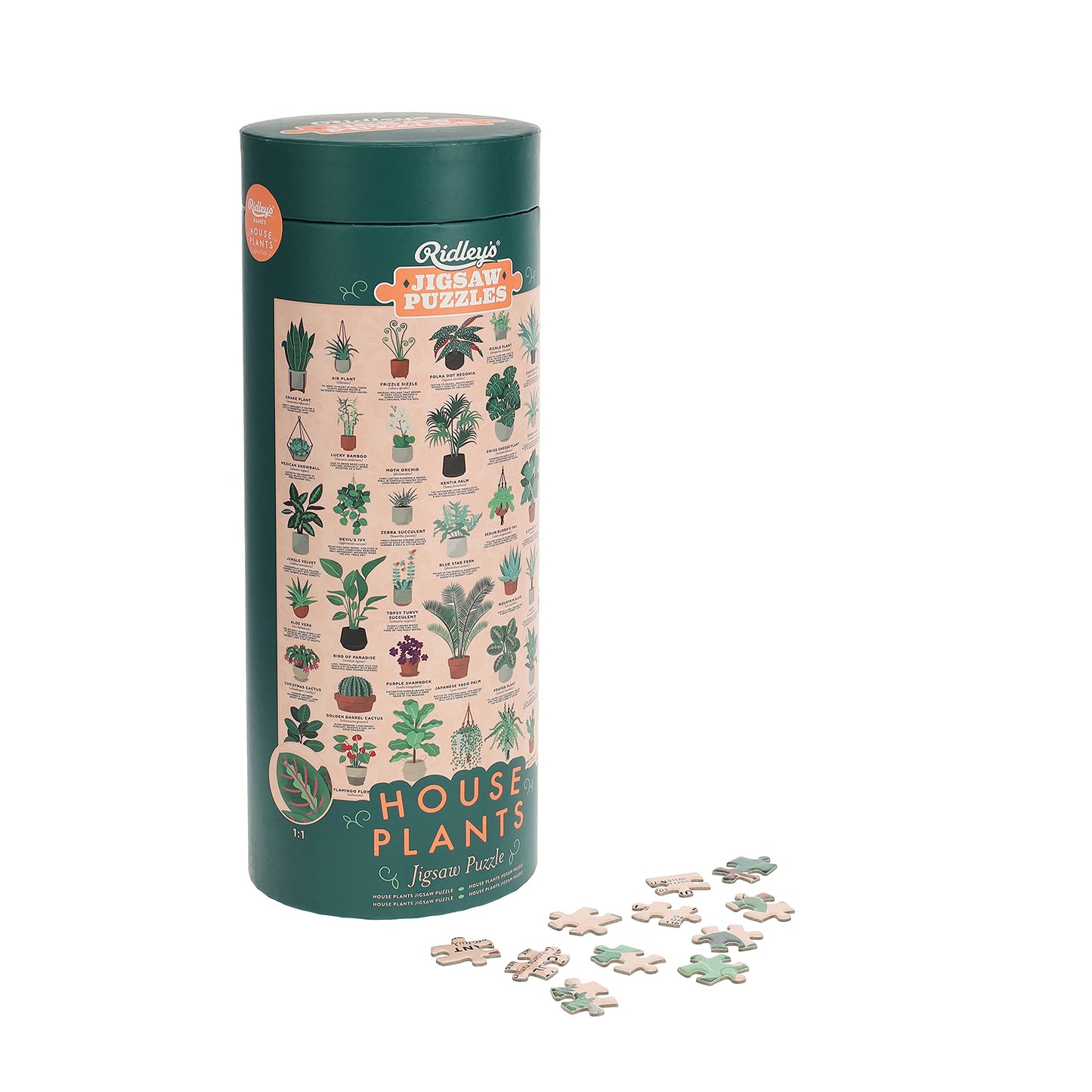 Ridley's Games: House Plants 1000-Piece Jigsaw Puzzle | Perfect for Plant Owners with Over 30 Unique Plants | Perfect Room Décor Once Completed |