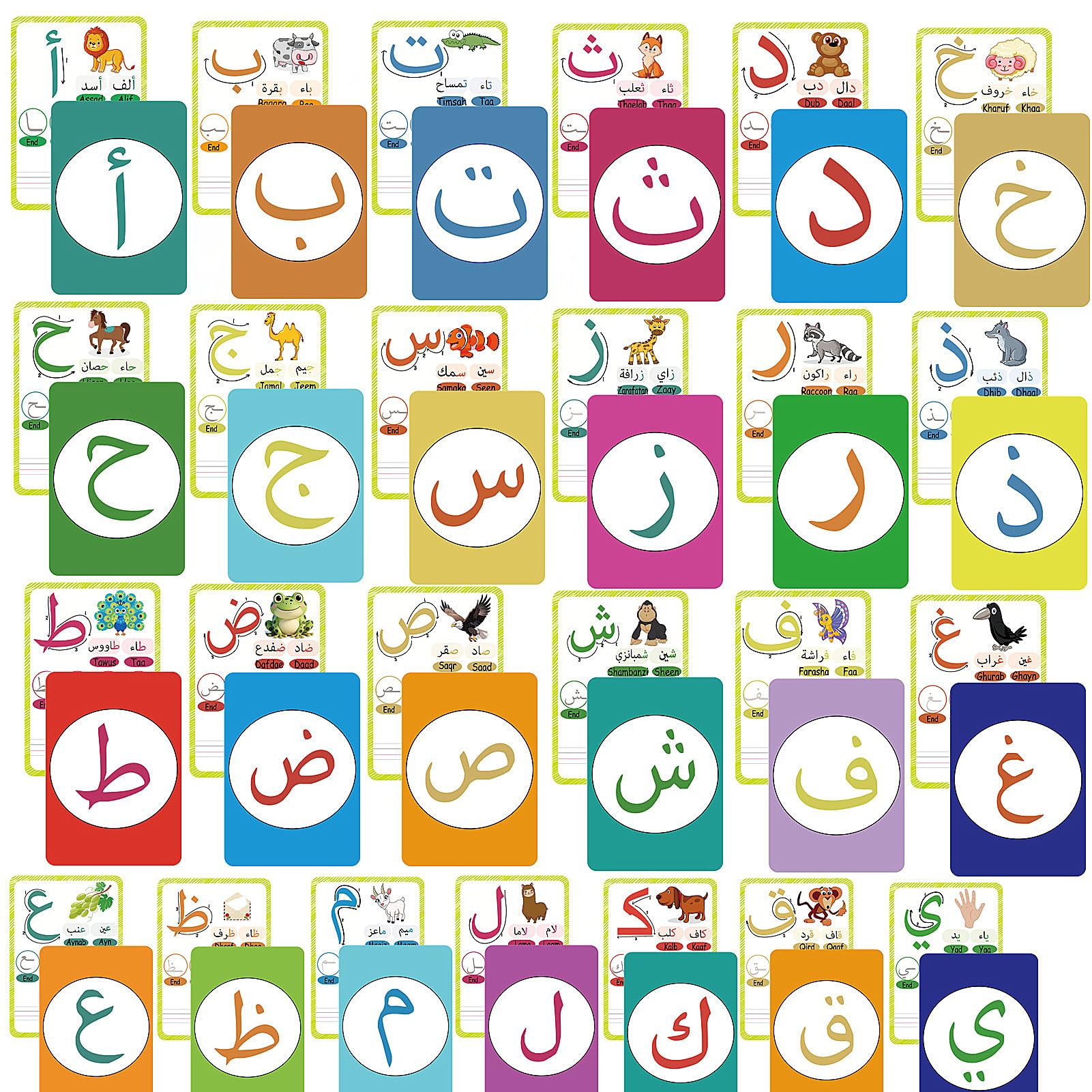 36 Arabic Flash Cards, Arabic Alphabet Learning for Beginners, Adults, Learn Arabic Alphabet Letters Writing & Pronunciation Guide for Teacher Tool