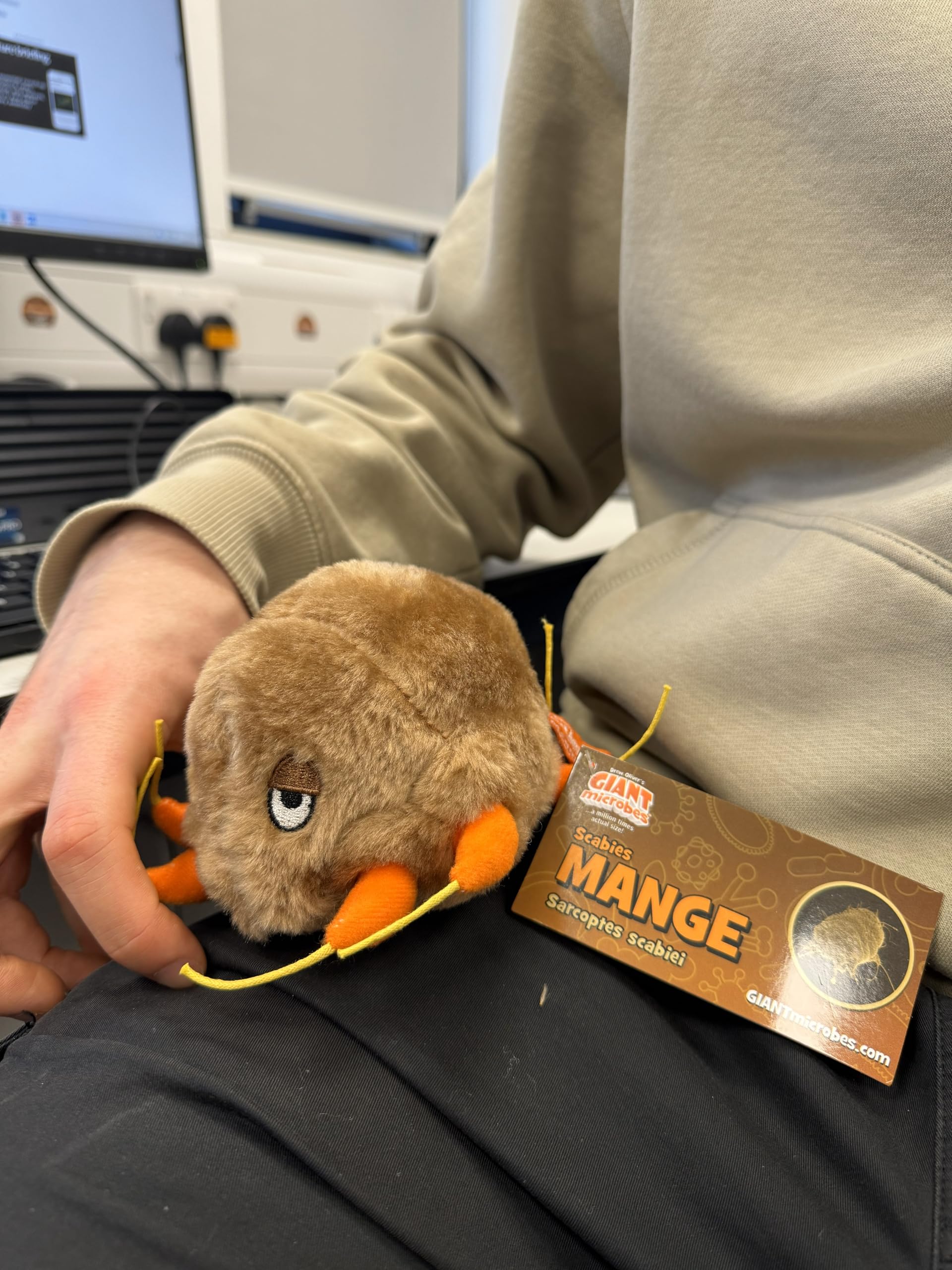 GIANTmicrobes Mange Plush - Learn about Mites and How They Cause Skin Disease, with this Educational Gift for Friends, Veterinarians, Educators, Pet