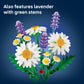 LEGO Botanicals Daisies Building Toy - Artificial Flowers Crafting Kit for Girls & Boys, Ages 9+ - Kids Room Decor for Book Shelf or Desk - Gift Idea
