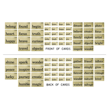 Advantus Flashcards