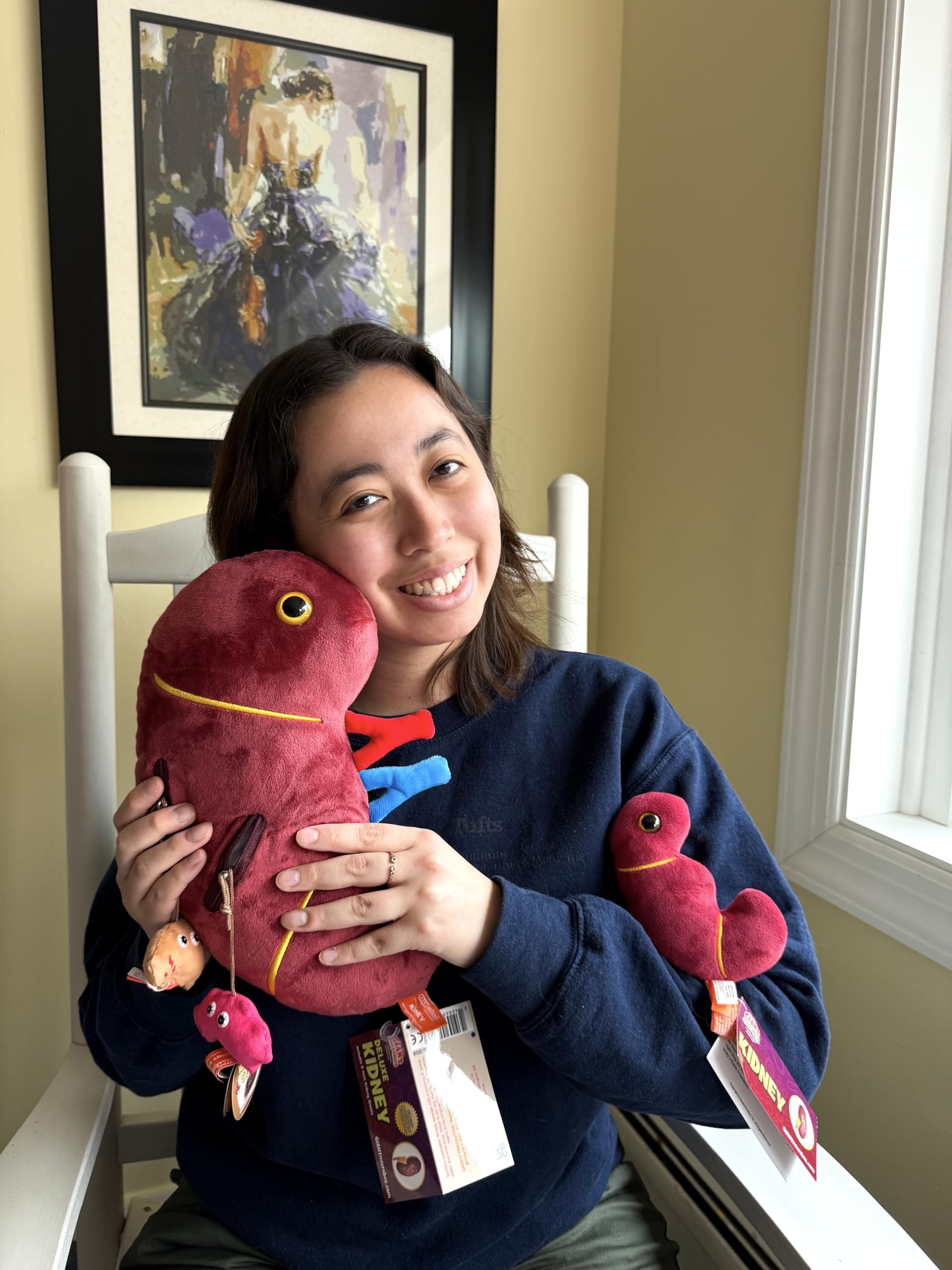 GIANTmicrobes Deluxe 12" Kidney Plush with Kidney Stones, Kidney Stuffed Animal, Kidney Transplant Gifts, Kidney Donor Gifts, Kidney Pillow, Urology
