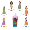 Mattel Disney Princess Royal Color Reveal Small Doll with 6 Surprises Including Scented Ring and 4 Accessories (Dolls May Vary) Garden Party Series