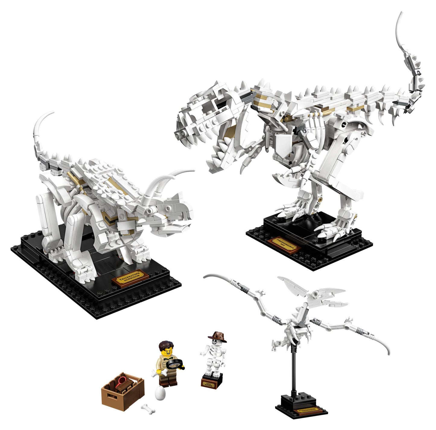 LEGO Ideas 21320 Dinosaur Fossils Building Kit (910 Pieces)