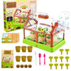 EXBEPE Kids Plant Growing Kit Greenhouse Growing Set Terrarium Kit Kids Science Educational DIY Plant Gardening Toy, Living Greenhouse with Solar