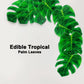 48pcs Edible Tropical Turtle Leaves Cupcake Toppers, CGHCEAI Palm Leaves Cake Decoration For Hawaii Theme Jungle Party Cake Toppers Birthday Party