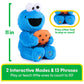 GUND Sesame Street Peek-a-Boo Cookie Monster 13” Plush Toy for Ages 1+